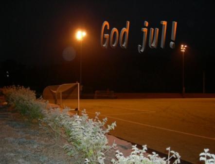 Klikk p� bilete for full storleik